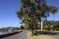 aterro do flamengo burle marx