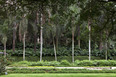 parque burle marx (antiga residência pignatari) burle marx