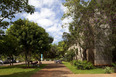 biblioteca central - unb josé galbinski