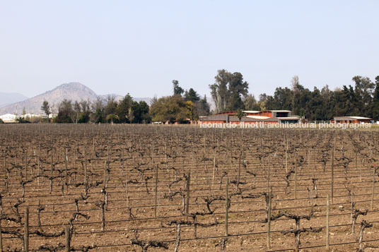 almaviva winery martin hurtado