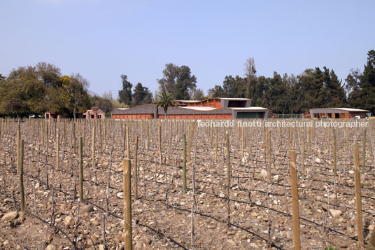 almaviva winery martin hurtado