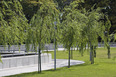 mujeres argentinas park at puerto madero sebastian vila