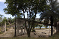 praça dalva simão burle marx