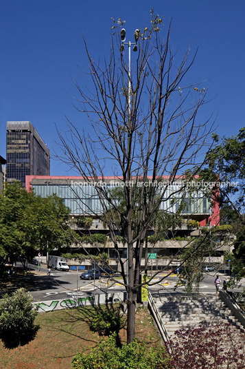 masp lina bo bardi