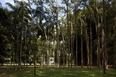 parque da cidade roberto burle marx burle marx