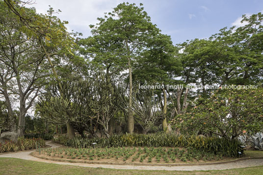 parque del este burle marx