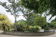 parque del este burle marx