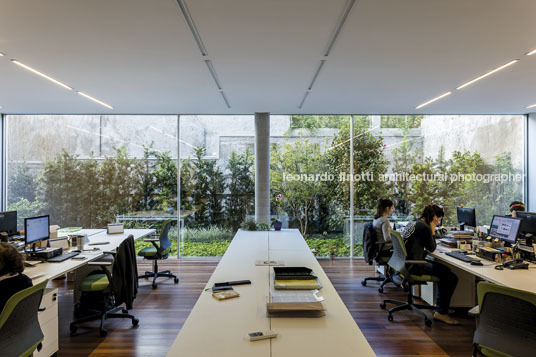 instituto ling isay weinfeld