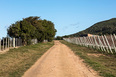 viña edén winery fábrica de paisaje