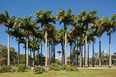 aterro do flamengo burle marx