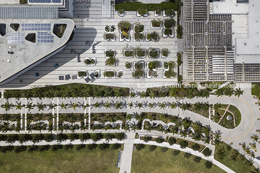 perez art museum miami (pamm) herzog & de meuron