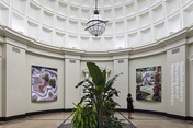 brazilian modern: the living art of rbm - nybg