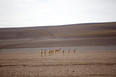 salar do uyuni 