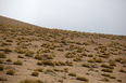 salar do uyuni 