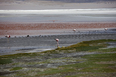 salar do uyuni 