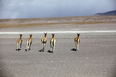 salar do uyuni 