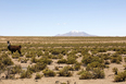 salar do uyuni 