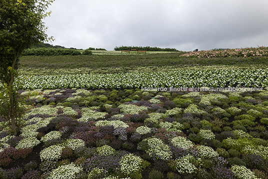 mátria parque de flores ja8 arquitetura e paisagem