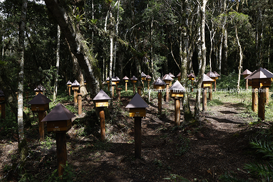 mátria parque de flores ja8 arquitetura e paisagem