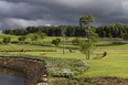 mátria parque de flores ja8 arquitetura e paisagem