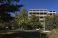 uic science & engineering offices walter a. netsch