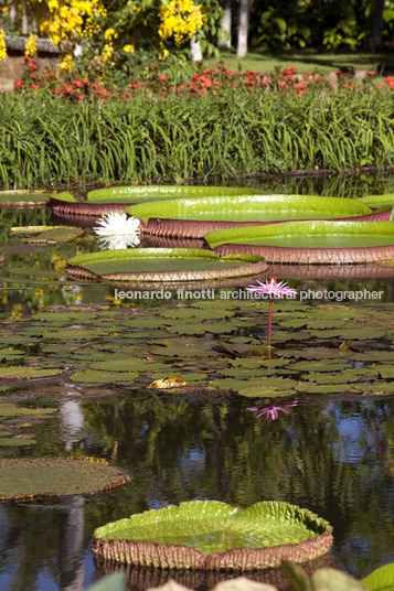 fazenda vargem grande burle marx