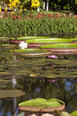 fazenda vargem grande burle marx