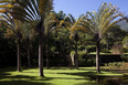 fazenda vargem grande burle marx