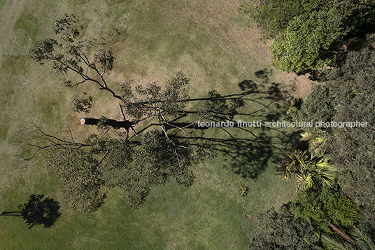 giuseppe penone: elevazione - inhotim GIUSEPPE PENONE